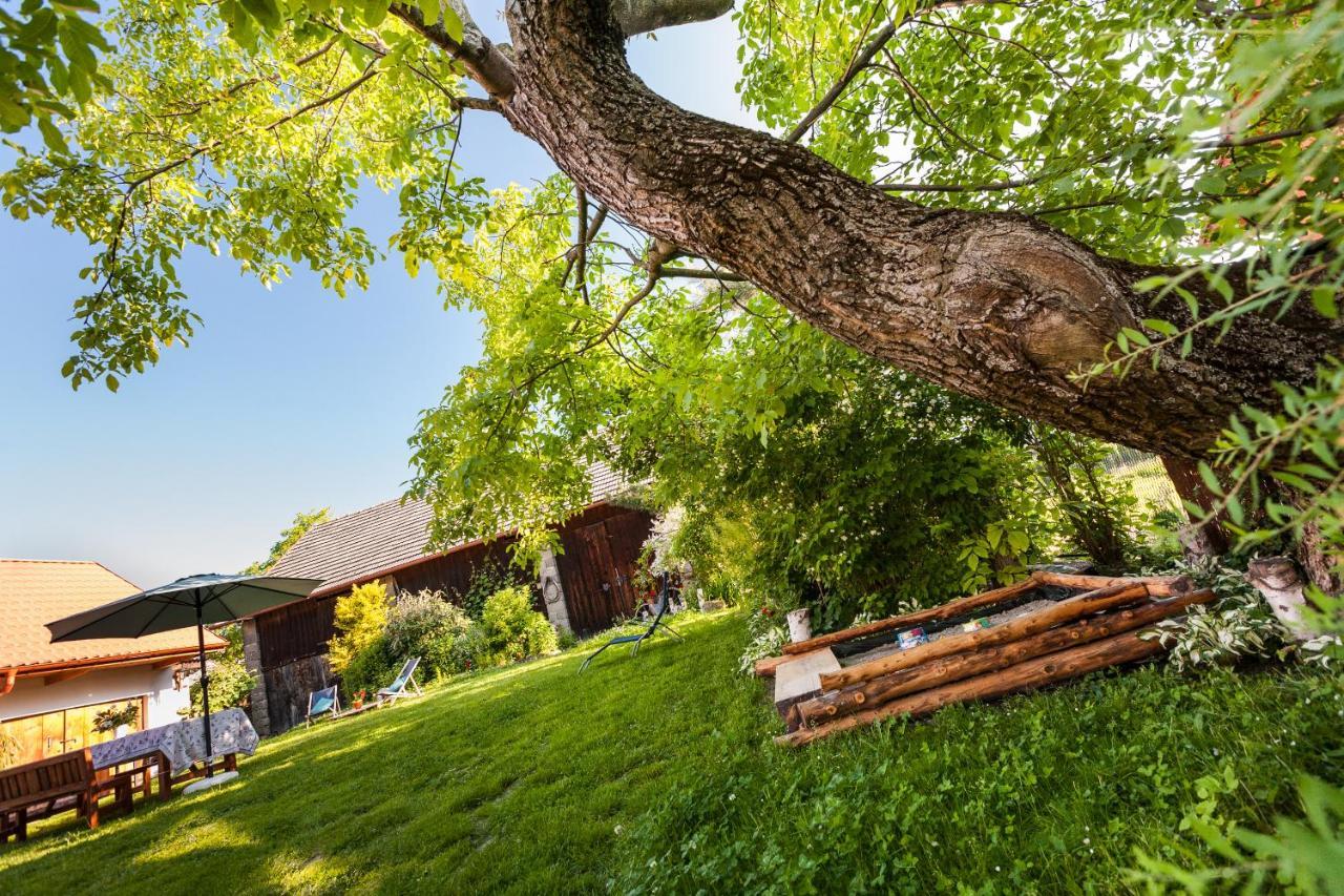 Villa Dom Pod Orzechem à Łapczyce Extérieur photo
